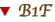 B1F